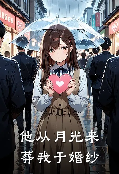 他从月光来，葬我于婚纱